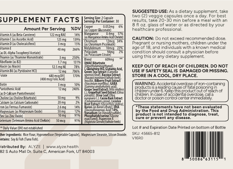 ALYZE Neuro Plus supplement facts