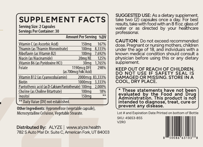 ALYZE B-12 Complex supplement facts