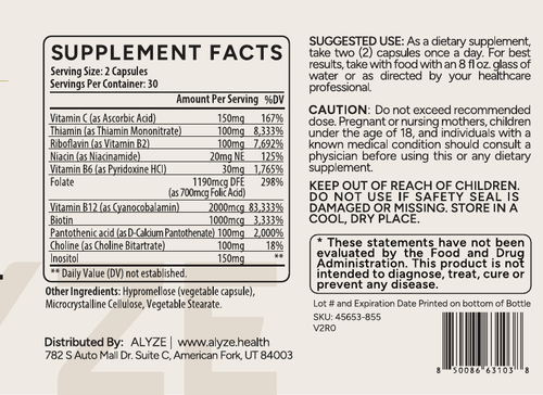 ALYZE B-12 Complex supplement facts