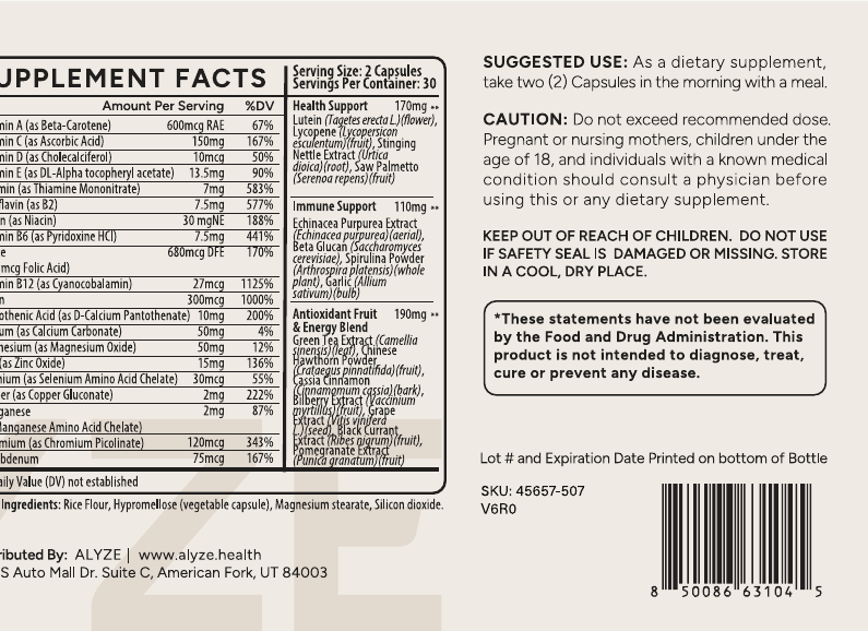 ALYZE Multivitamin supplement facts