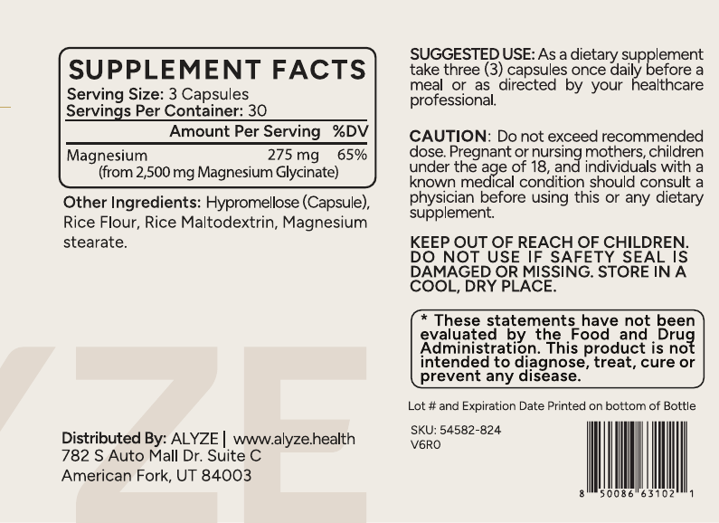 ALYZE Magnesium Glycinate supplement facts