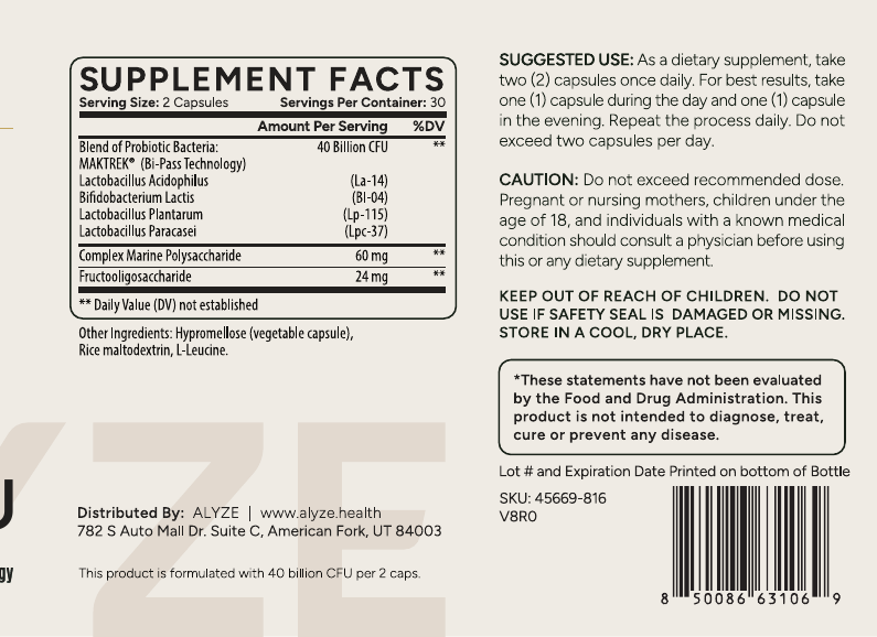 ALYZE Probiotic 40B supplement facts
