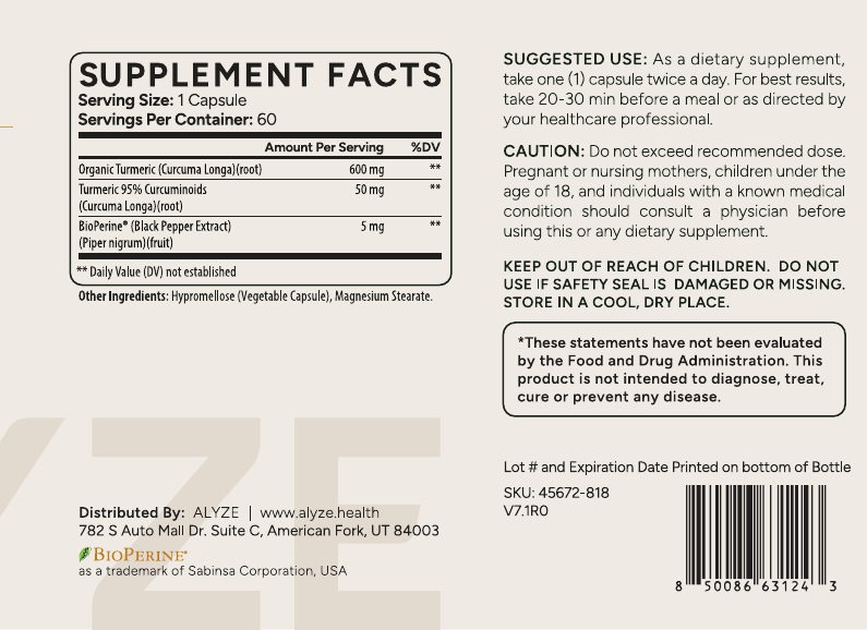 ALYZE Turmeric Root supplement facts