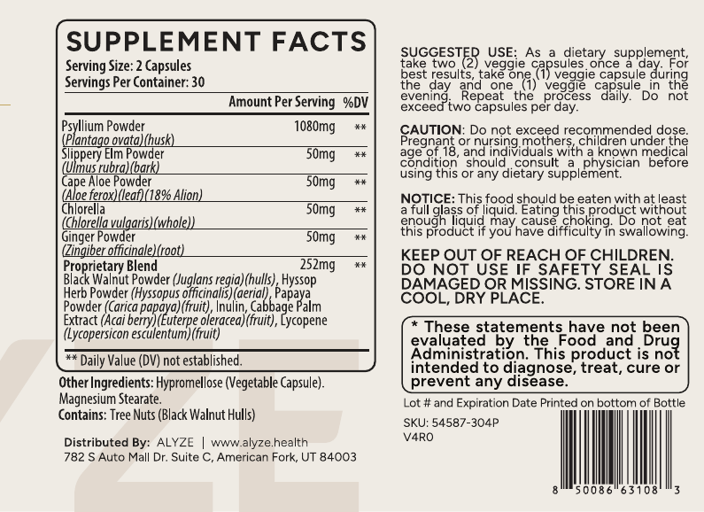 ALYZE Psyllium Husk Plus supplement facts